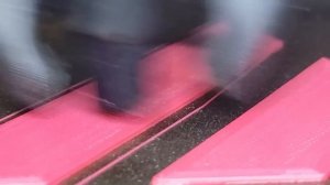 Fastest 3D printed Mainsail logo ? 1500mms @50K Ludicrous speed #Vz235 #VzBoT