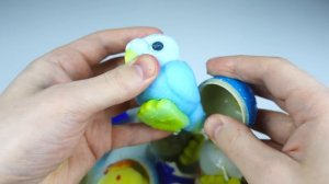🎁 ЯЙЦА ПТИЦ. Кто вылупится? Сюрпризы от Сбабам. Удивительные эксперименты.