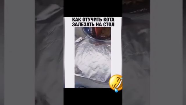 как отучить кота ? лазить на стол