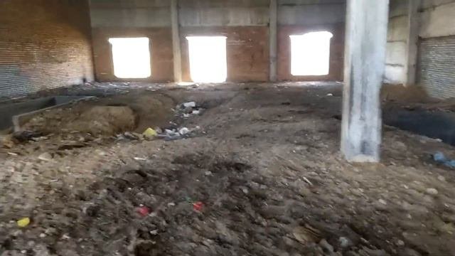 Сталк по заброшенному лесопромышленному комбинату (ЛПК). п.Онохой \LIVE VIDEO