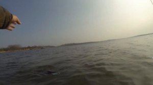 Нахлыст.Рыболовные путешествия.Рыбалка в Швеции.Ловля щуки на побережье.