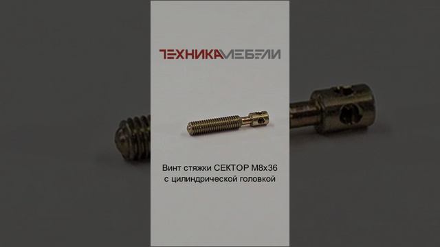 Винт стяжки СЕКТОР М8 х 36 с цилиндрической головкой шорт