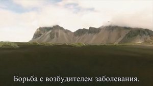 Ротавирусная инфекция, или кишечный грипп — Статья