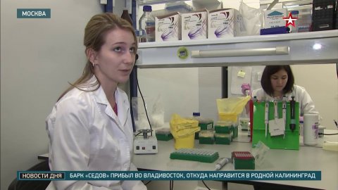 Массовая вакцинация россиян от коронавируса может начаться уже в конце года