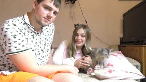 Что натворили коты, пока все спали?
