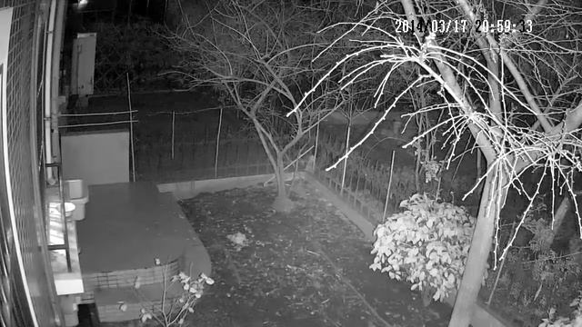 Пример работы камеры видеонаблюдения ночь смотреть онлайн