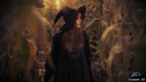 к чему снится Ведьма