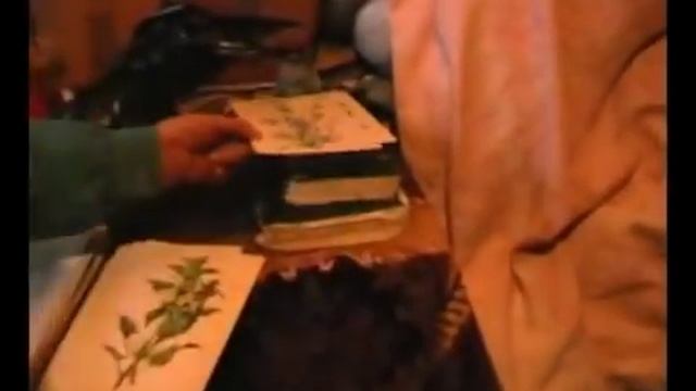 Svojstva trav, Elena Fedorovna Zajceva 3 chast' 360 смотреть онлайн