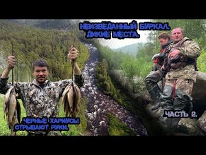Неизведанный Буркал. Дикие места. Черные хариусы отрывают руки. Часть - 2