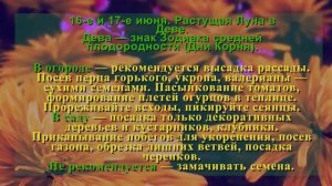 Лунный посевной календарь на ИЮНЬ 2021. Уход и посев растений в саду и огороде