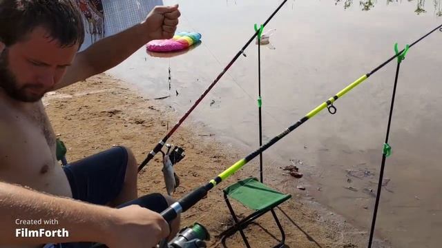 Утренний клев на Димитрово Сазаны порадовали... смотреть онлайн