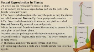 CBSE - STATE 7 - SCIENCE - REPRODUCTION IN PLANTS