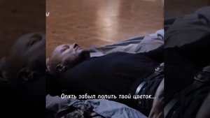 Максимов |Я не могу уснуть вторые сутки| #пёс