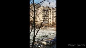 Сирена в Санкт Петербурге