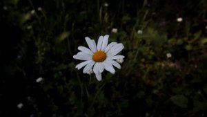 Обзор и тест широкоугольного объектива Canon 10-18 mm F 4.5 - 5.6