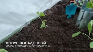 Конус посадочный