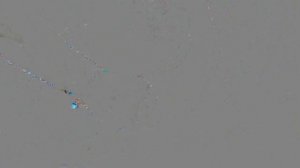 Обзор ручных циркулярных пил по дереву RedVerg RD-CS150-66L и RedVerg Basic CS65