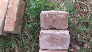 Тверская обл. Вышневолоцкий р-н. (Спас-Ясеновичи) Есеновичи.