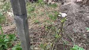 Облицовка дома кирпичом ручной формовки