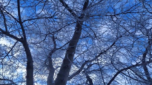 Что нельзя и что можно делать в АЛЕКСАНДРОВ ДЕНЬ 28 марта.Народные ПРИМЕТЫ смотреть онлайн