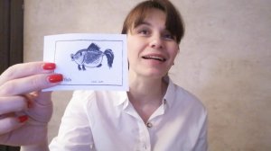 Домашнее задание по английскому языку №15