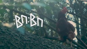 Деревня БЮ - Тучка