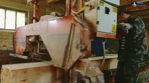 Ленточная пилорама Wood-Mizer LT15