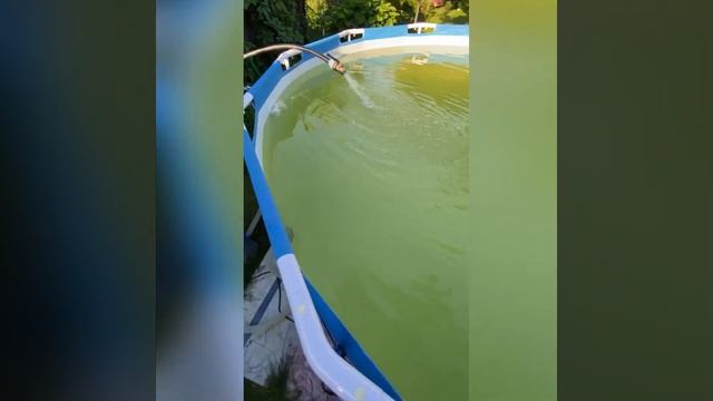 Перекись для бассейна/ пергидроль для бассейна / бассейн в Подмосковье смотреть онлайн