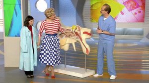 Жить здорово! Выпуск от 08.10.2013