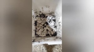 Вермикомпостер своими руками, быстро и недорого