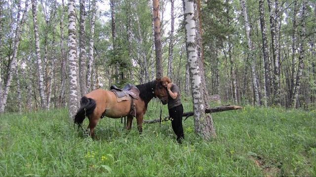 НАПРОСИЛАСЬ НА РЫБАЛКУ В ДРУГУЮ СТРАНУ! Летнее путешествие в Казахстан на машине. смотреть онлайн