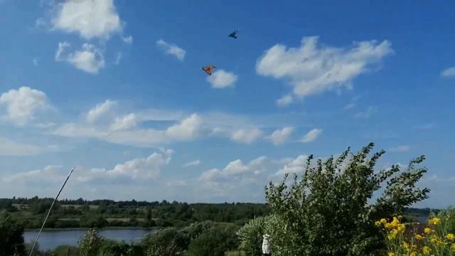 Пугало тандем из птичек смотреть онлайн