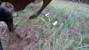 В ЛЕС С НОЧЕВКОЙ. ВЫВОЗИМ МЕТАЛЛ ИЗ ГЛУХОГО ЛЕСА.КОП МЕТАЛЛОЛОМА 24 ЧАСА
