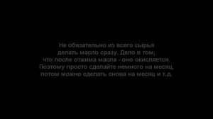 Облепиховое масло своими руками