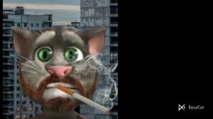 Думерские лица Тома Другая Музыка Шаблон Шаблон не мой