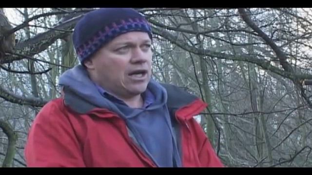 what is transition.flv смотреть онлайн