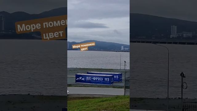 Во Владивостоке море поменялось цвет с голубого на коричневый. #БлогВладивосток