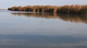 Fishing. Kazakhstan. Lake Balkhash. Рыбалка У Эвальда. Октябрь. Балхаш. Казахстан
