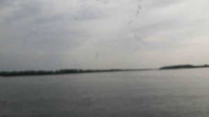 Утки улетели на юг