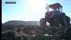 Почему дочь северокорейского лидера Ким Чен Ына отказалась от дизайнерской одежды?
