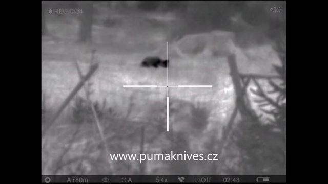 Sestřih z PULSAR Trail XQ 50 смотреть онлайн