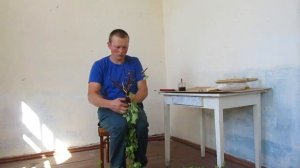 как я делаю березовые веники