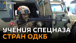 Спецназ стран ОДКБ спас от диверсантов гидроузел под Брестом