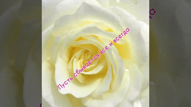 желаю от души счастье смотреть онлайн