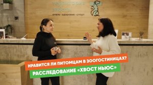 Спецрасследование «Хвост Ньюс»: как выглядят зоогостиницы и зачем там фитнес-зал и бассейн