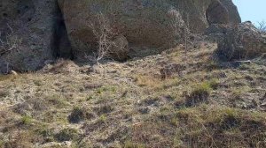 Мыс Меганом