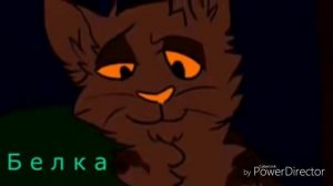 Коты воители Голубка и Когтегрив