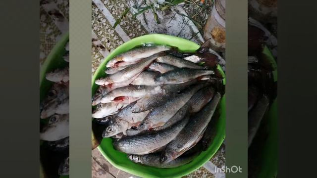 мушки на хариуса и ленка смотреть онлайн