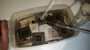 "СМЫВАЕМ" ЗОЛОТО С ПРОЦЕССОРОВ "ЗОЛОТОЙ ЦИКАДОЙ"!!