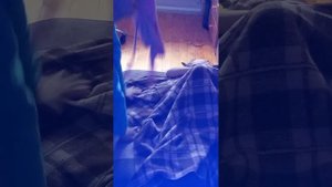 24ЧАСА СТАЛИ МАМОЙ И ДОЧКОЙ